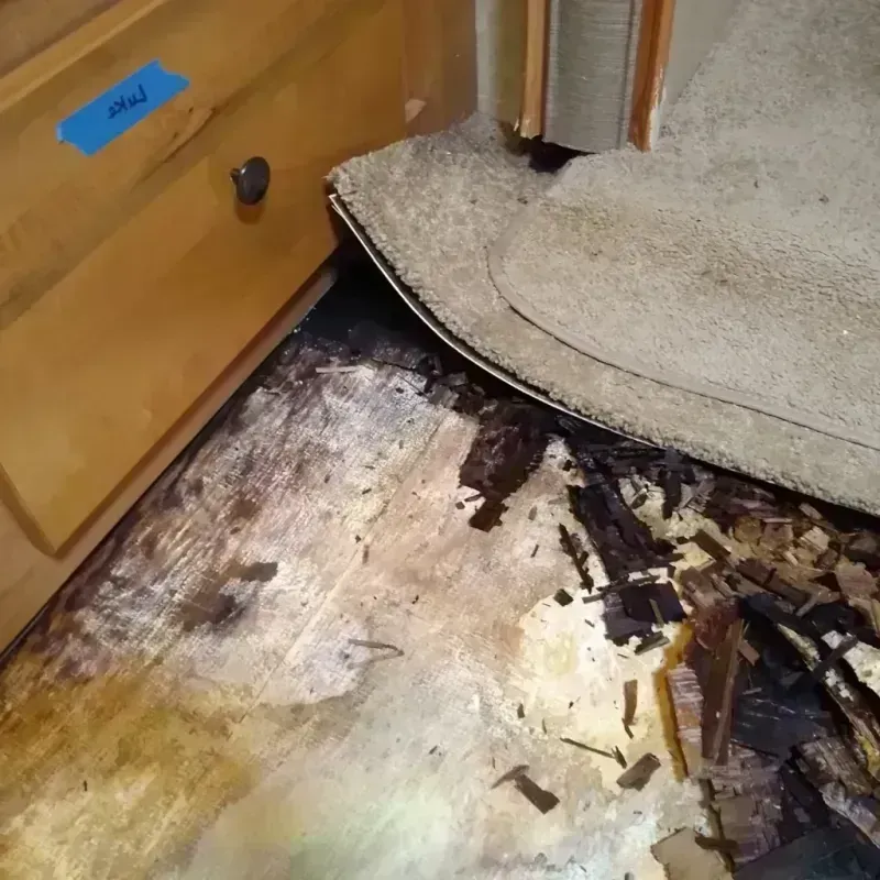 Best Wood Floor Water Damage Service in Selmont-West Selmont, AL